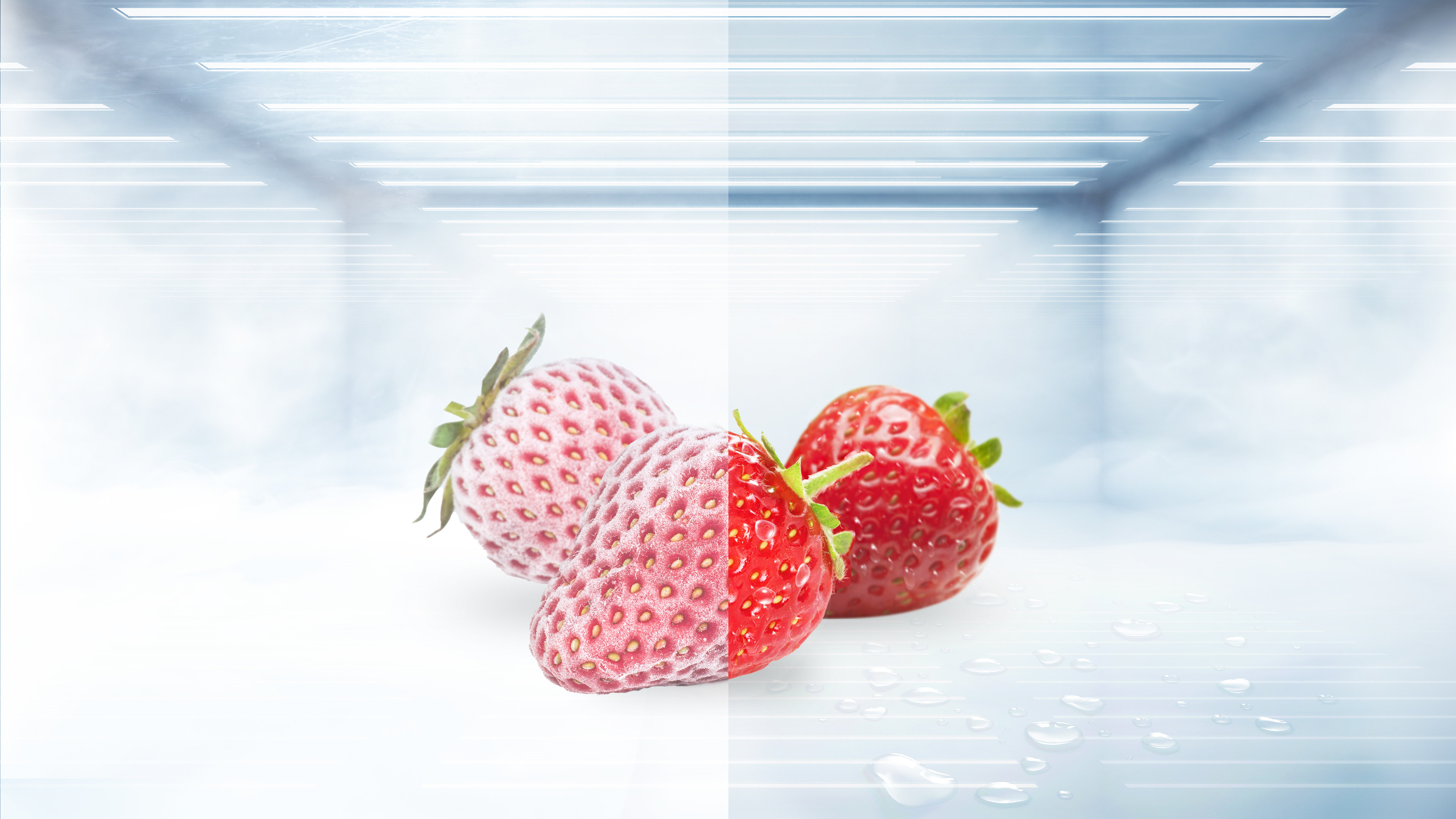 TCL Refrigerators Total No Frost