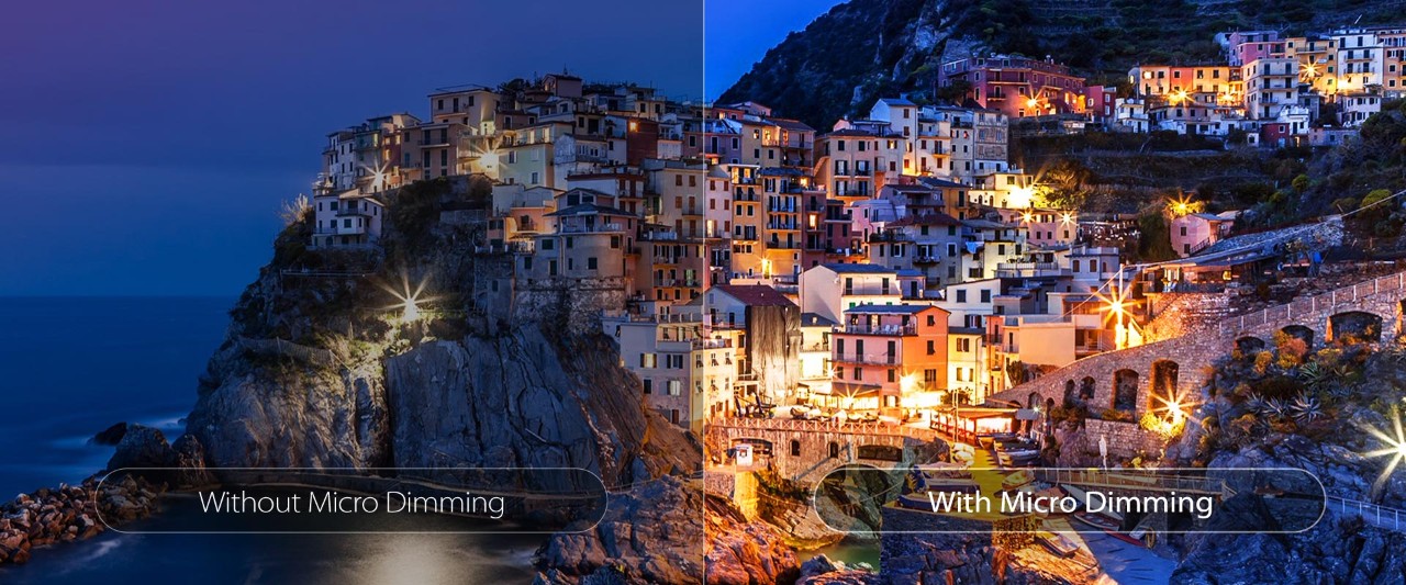 TCL S66A Micro dimming