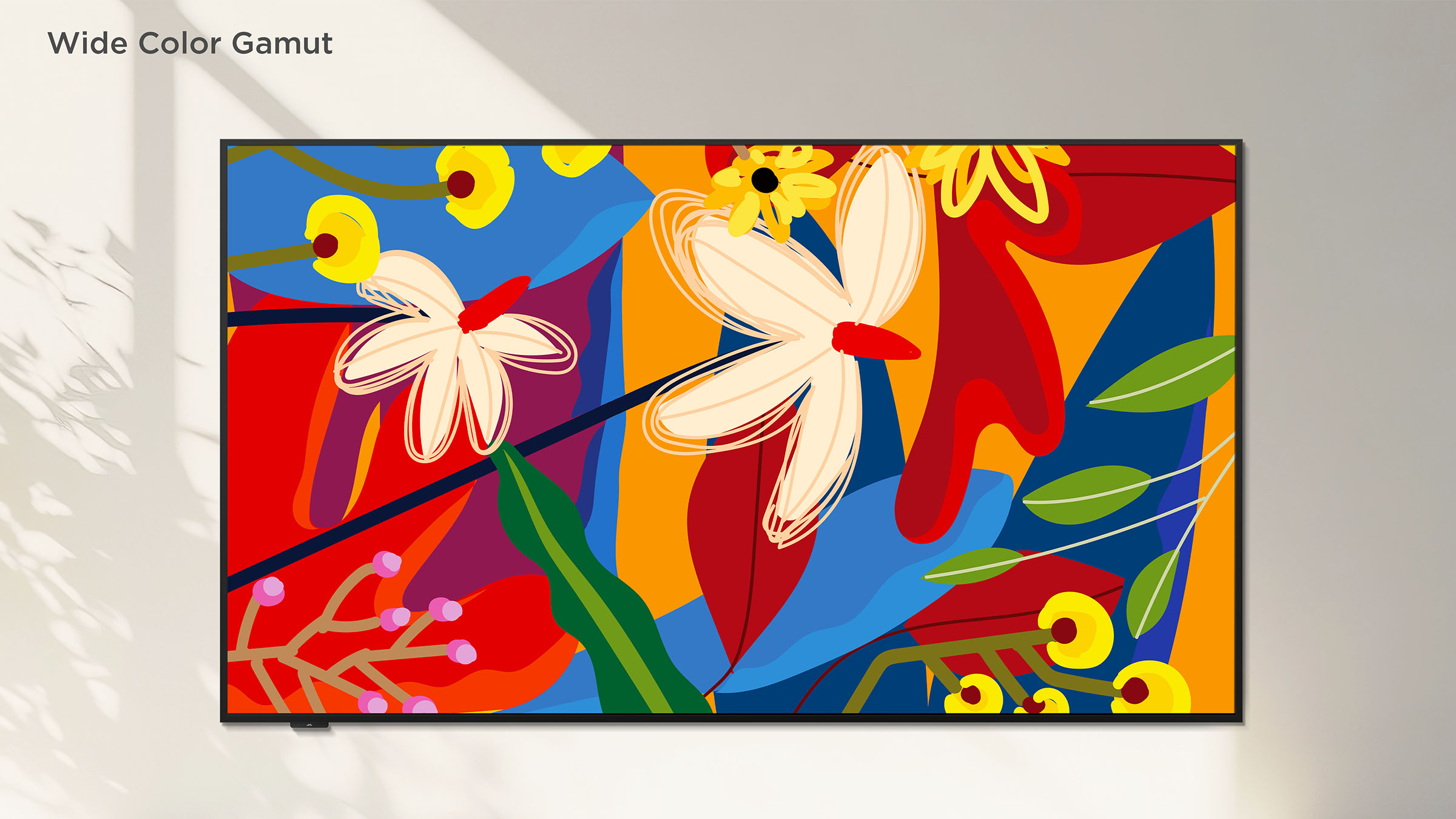 iFFALCON F75 4K TV Wide Color Gamut