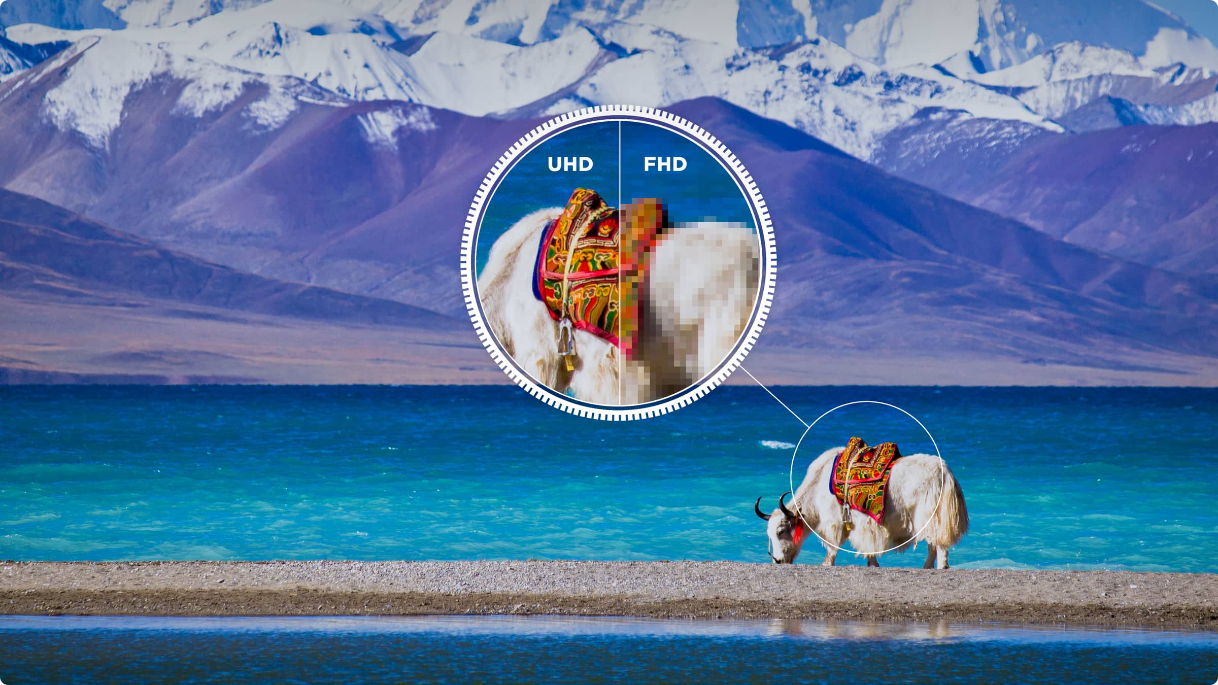 iFFALCON U65 4K Ultra HD