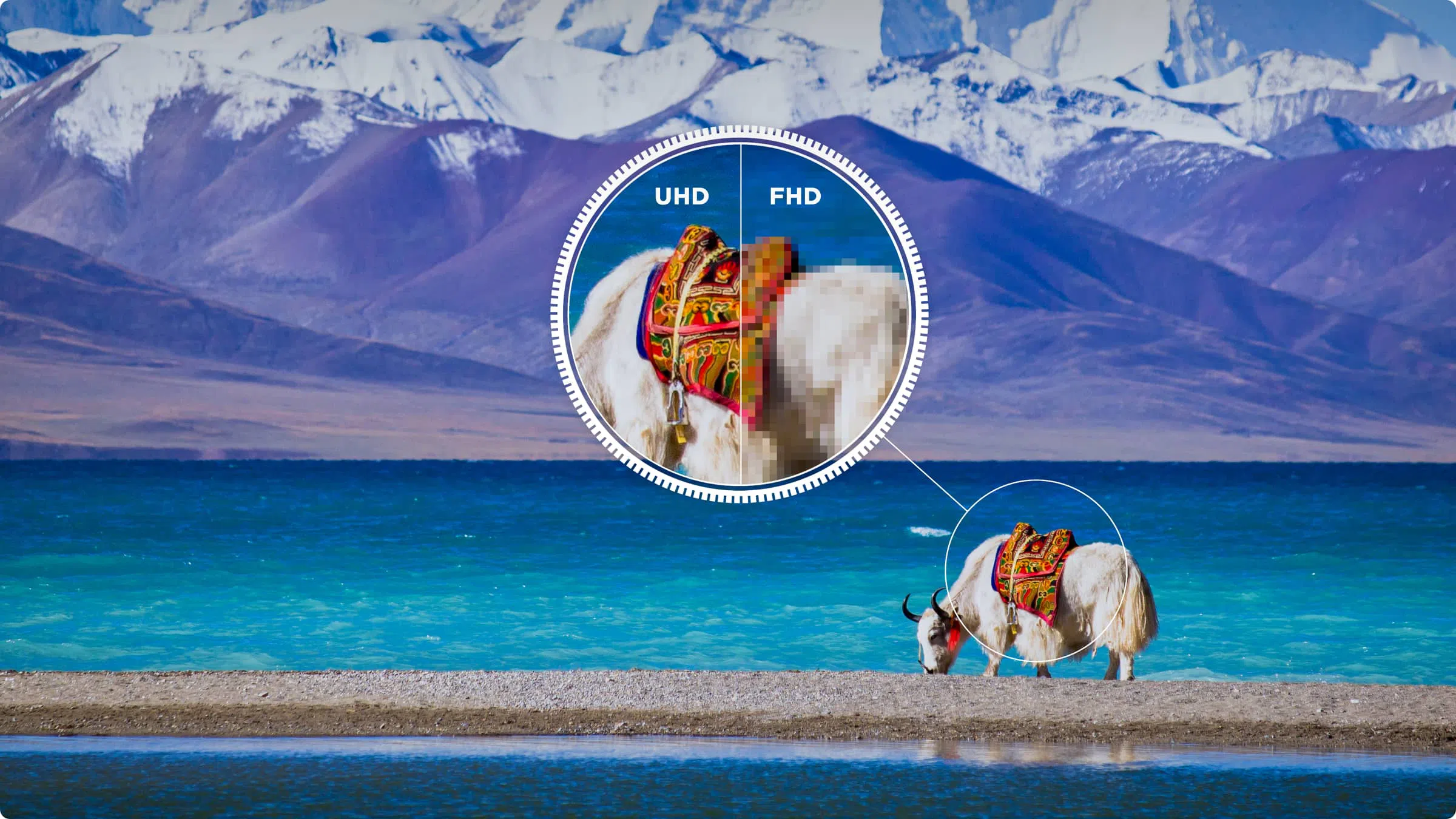 iFFALCON U65 4K Ultra HD