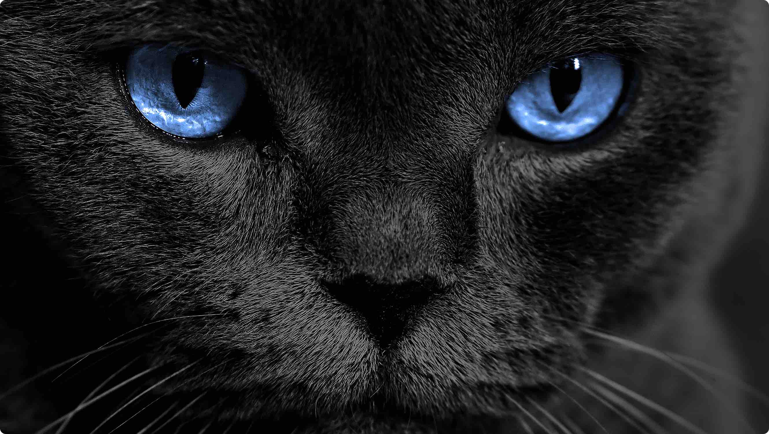 iFFALCON U75 Ai Clarity