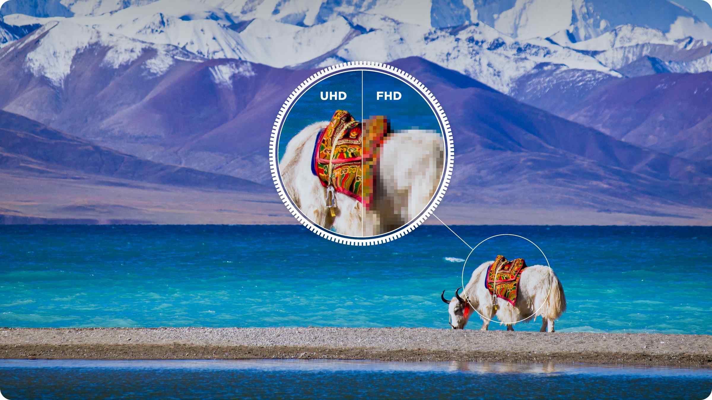 U64 4K UHD Google TV 4K Ultra HD